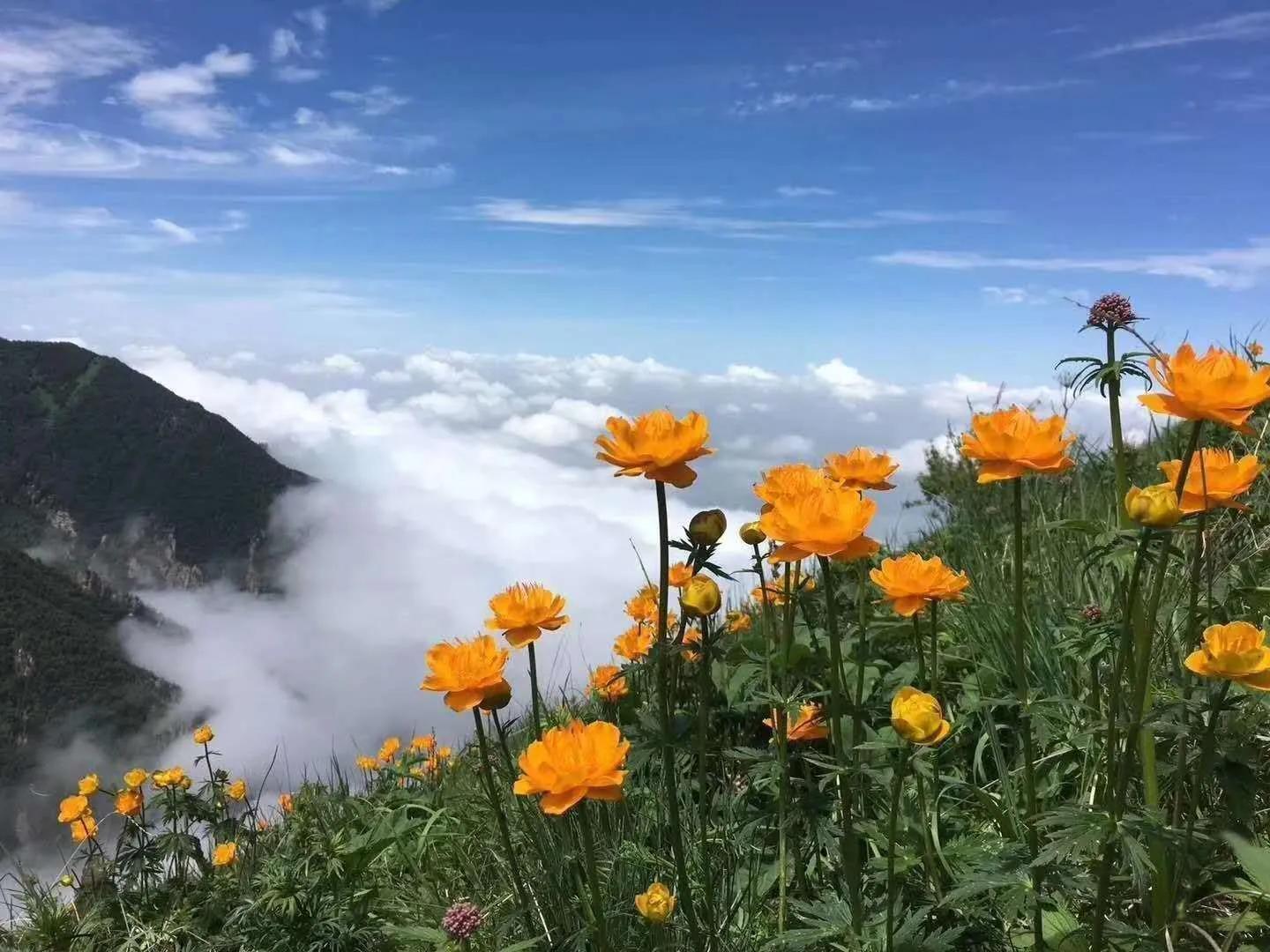 河北第一高山小五台山,河北的最高山峰小五台山海拔多少