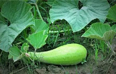 苏州太湖哪里好玩,苏州太湖西山景区