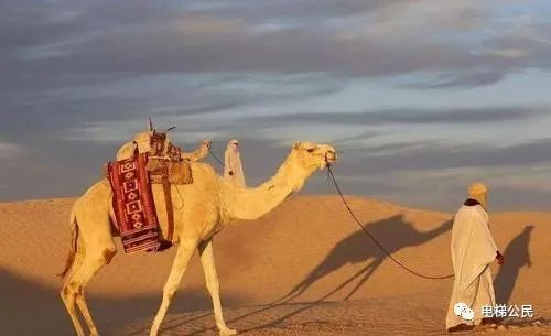 永大电梯为什么不校正,台湾永大电梯