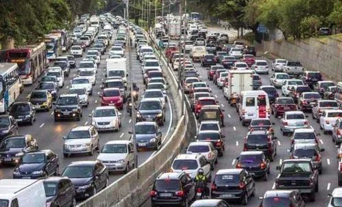 铲屎官领狗狗旅游,铲屎官不在家应该怎么安顿狗狗