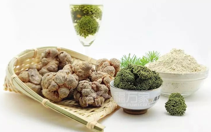 三七保健药,每天认识一味药三七