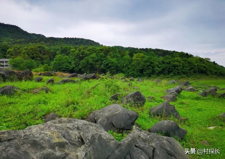 重庆自驾游免费露营地,冬季露营旅游重庆