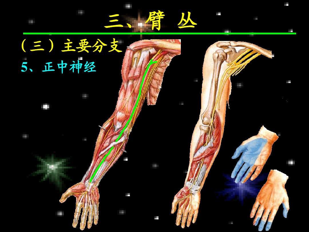 正中神经损伤吃什么食物有助恢复,正中神经损伤的临床表现为