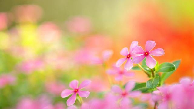 注定会互相伤害的星座情侣配对,不一定结婚只想轻松谈恋爱的星座