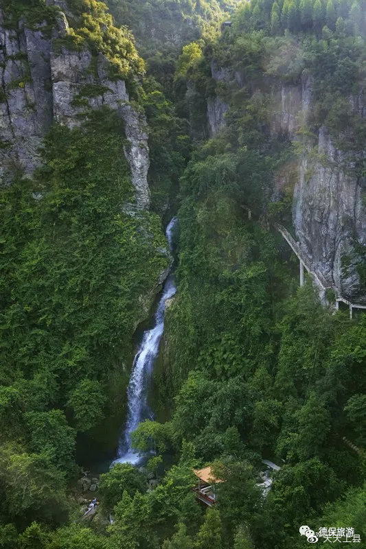 广西枫叶林观赏季节,广西赏枫叶的地方