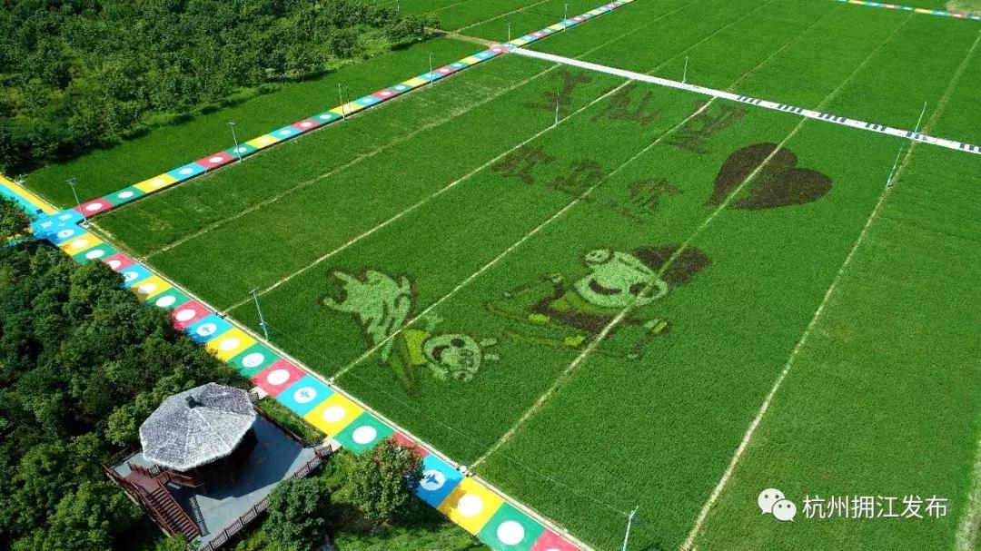 震撼!钱塘江畔出现巨型画作,有28个足球场这么大!