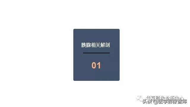 核磁ct都显示急性胰腺炎,急性坏死性胰腺炎的ct表现