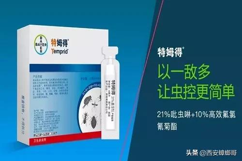消灭皮蠹虫用什么药,蟑螂幼虫怎么消灭最彻底