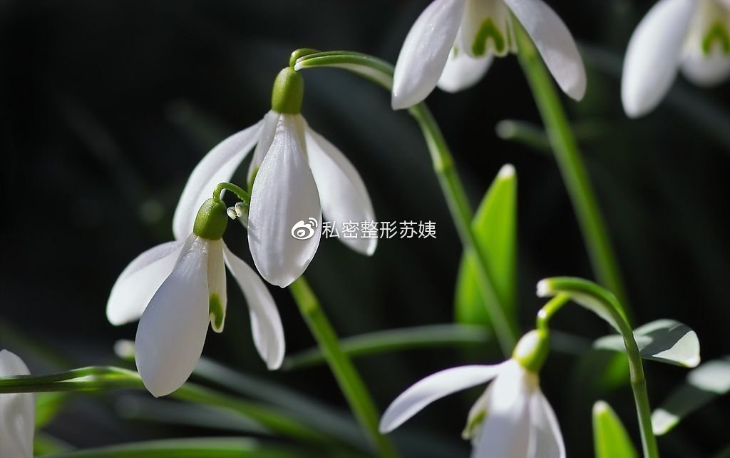 私密豆腐渣,女人下身有豆腐渣现象普遍吗