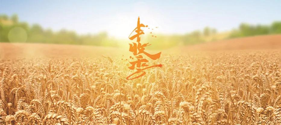 腾飞丰县，八大主导产业升级发展