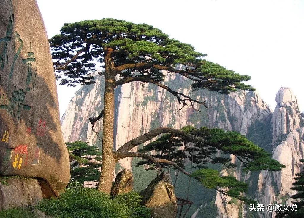 人文说黄山,安徽人对黄山的情怀