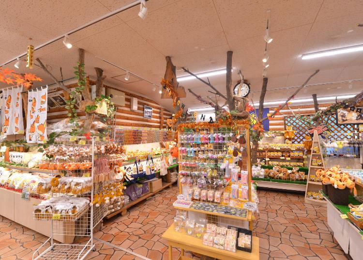 日本藏王狐狸村旅游,藏王狐狸村在哪里