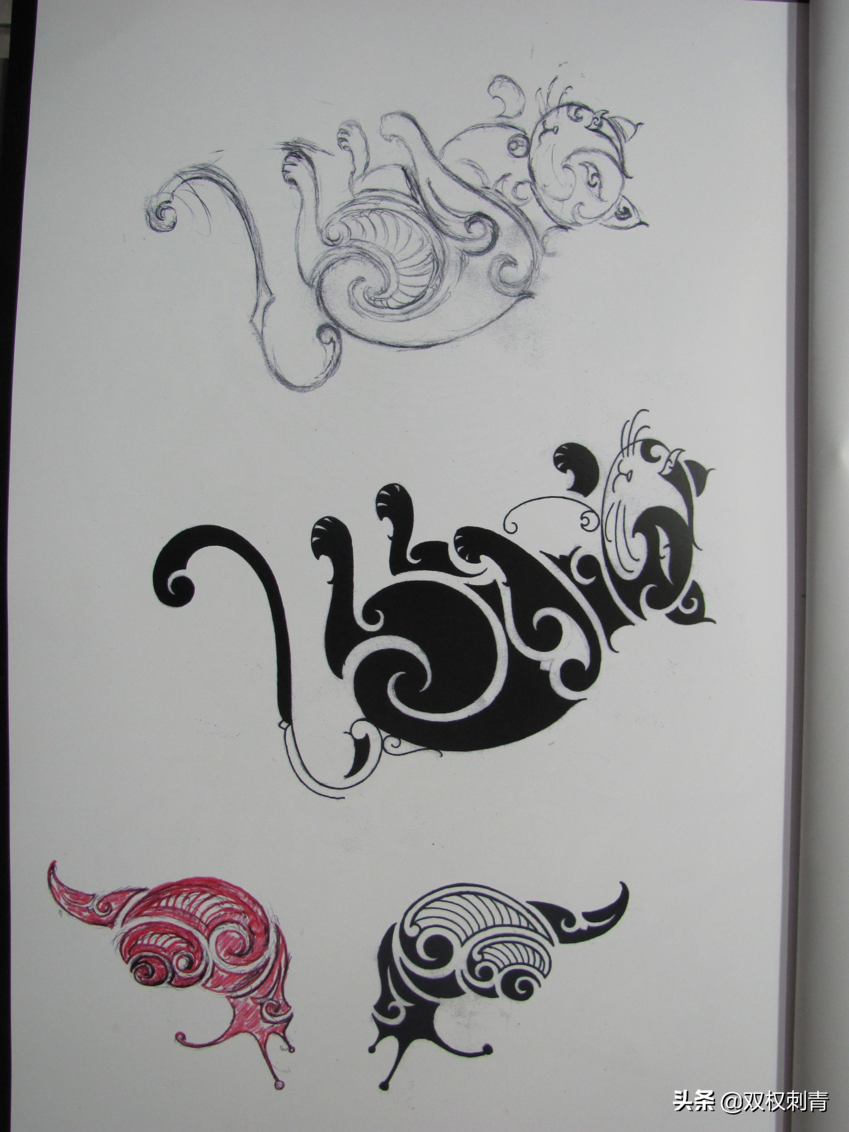 凤凰图腾图,张氏图腾图