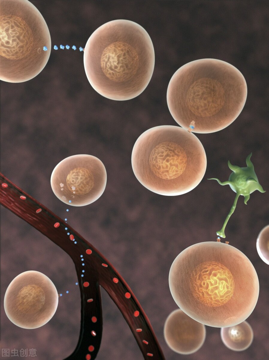 关注HPV感染，关注宫颈癌！怎么防？医生给出这些建议，建议收藏