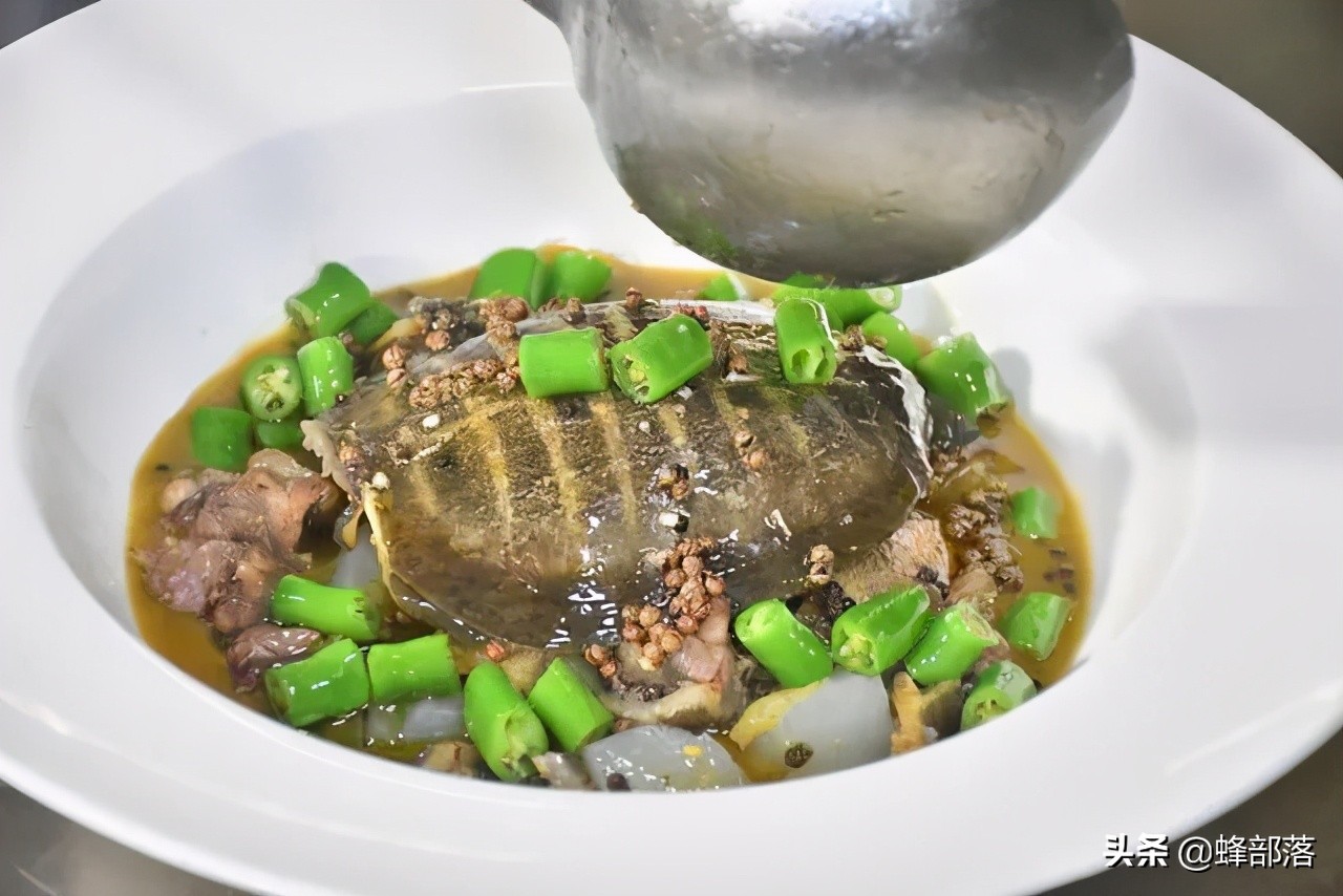 上山甲鱼下山野鸡不追是什么意思,上岸的甲鱼和下山的野鸡