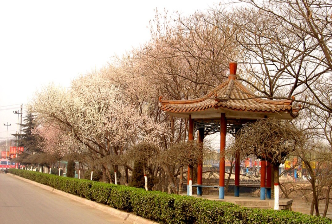 藁城区发展方向,对新疆库尔勒你了解多少