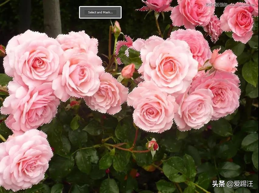 ps教程素材图片,ps教学制作漂亮的鲜花艺术字