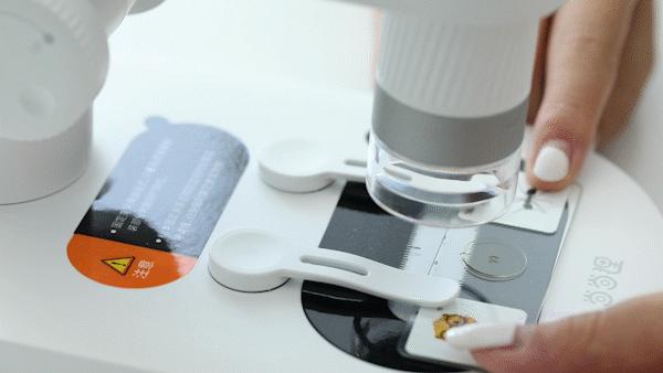 暑假孩子玩手机不如打篮球吧,儿童显微镜放大蚂蚁120倍