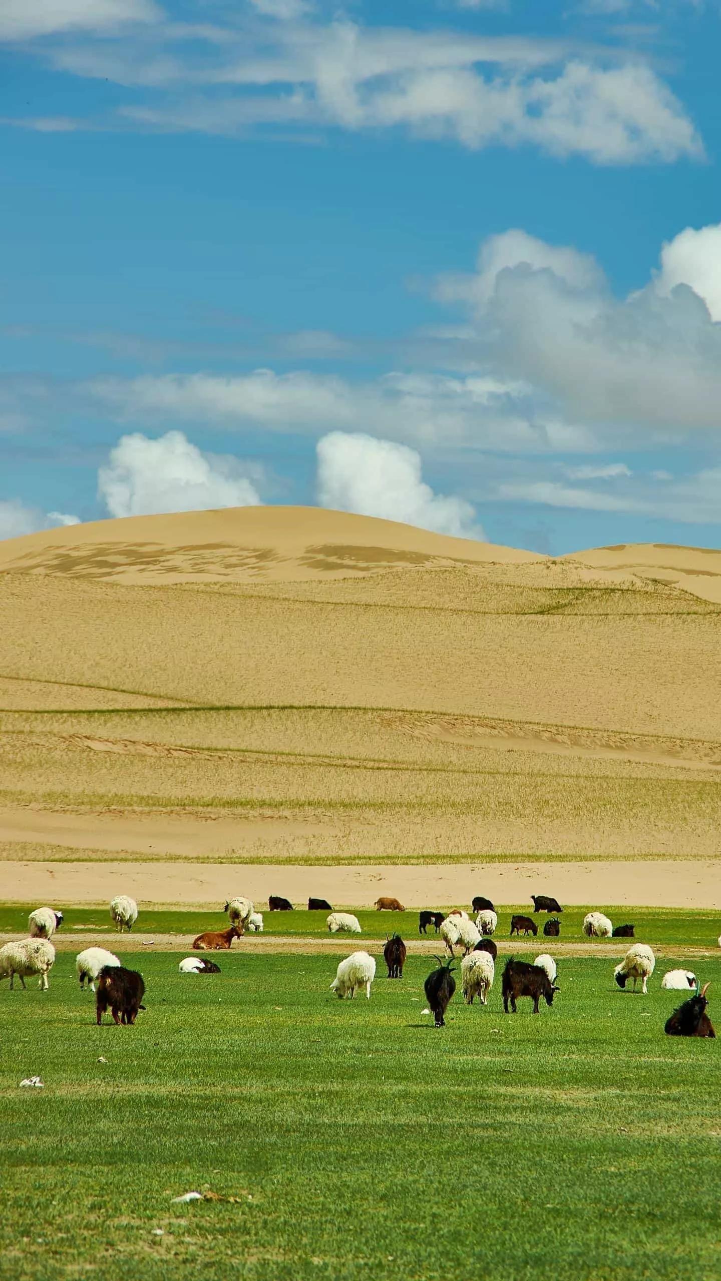 如何让香蕉快速成熟,如何让痤疮快速成熟