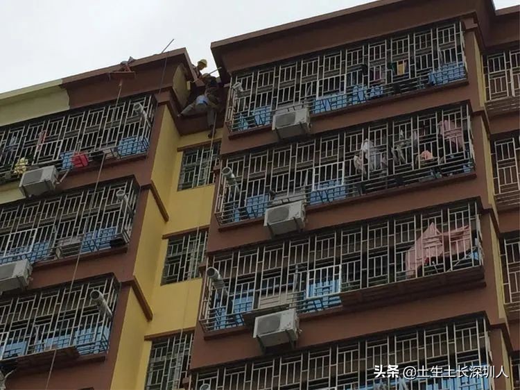 龙华有哪些街道,龙华村的由来