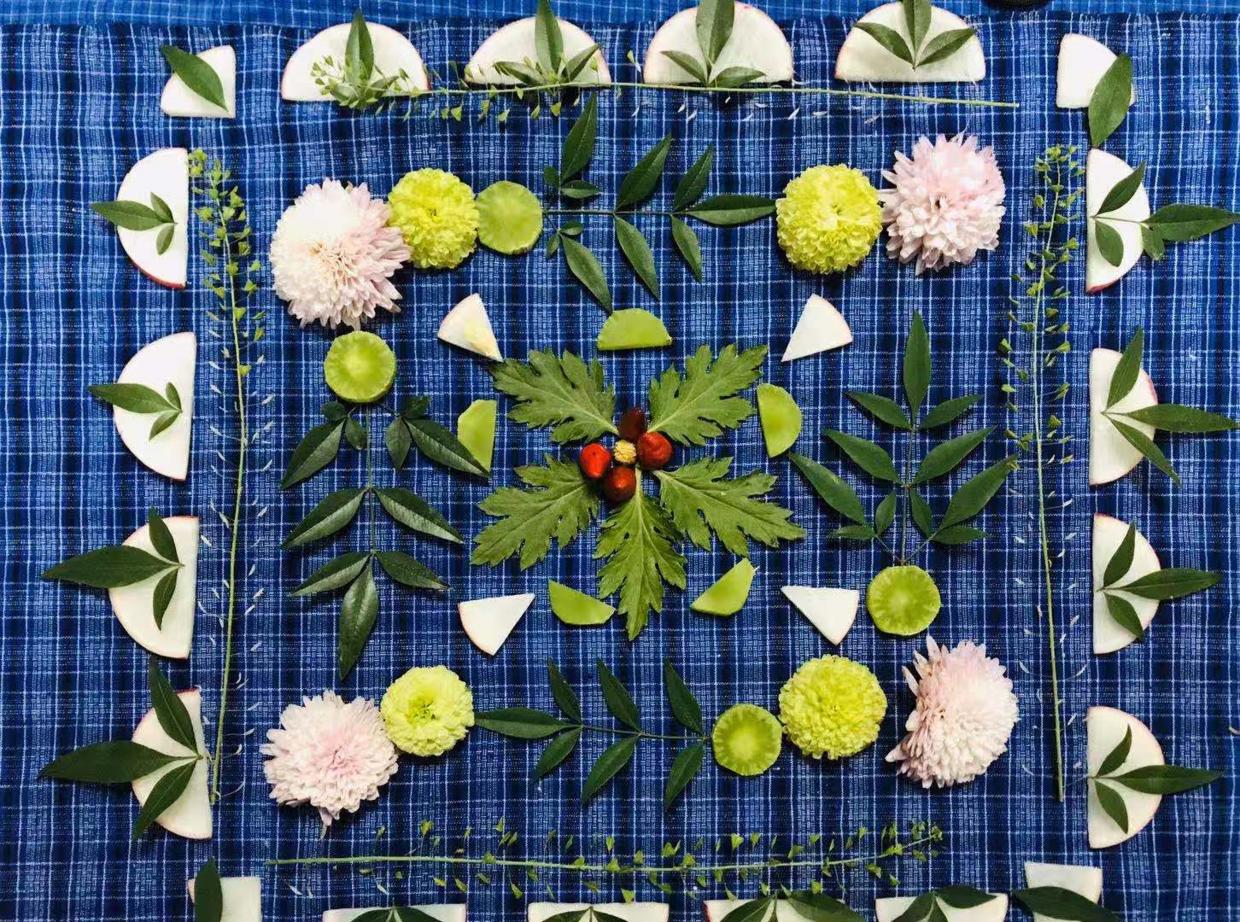 摆拍姿势大全植物,植物拍照摆拍图片大全