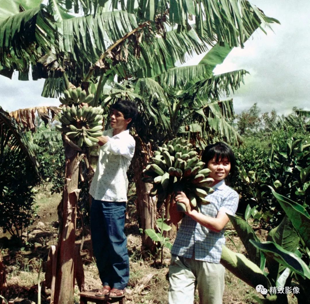 拾光汇影|第六期·珠海斗门白藤湖