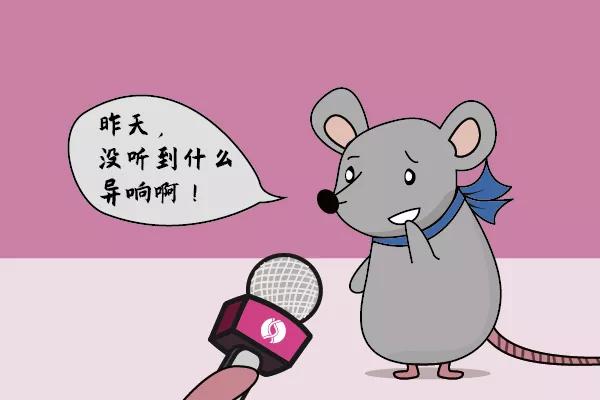 走近科学鼠王,走近科学之消失的巴士