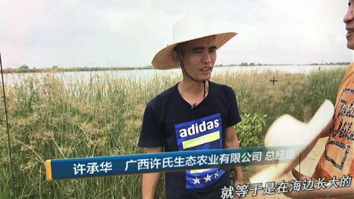 央视曝光流油的海鸭蛋20个,央视曝光海鸭蛋一戳就出油