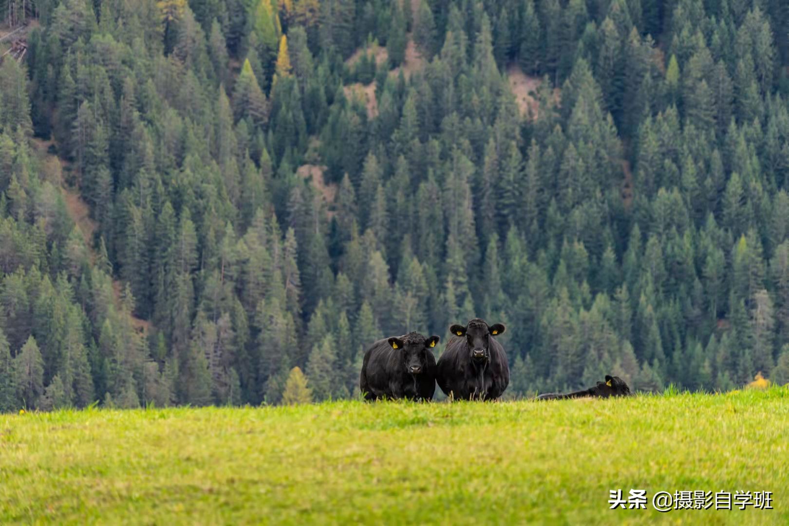 风景摄影技巧超实用,风景摄影拍摄技巧