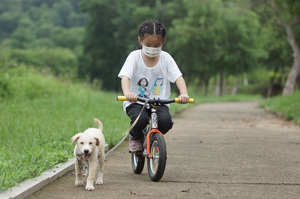这是什么狗,狗狗横齿什么样