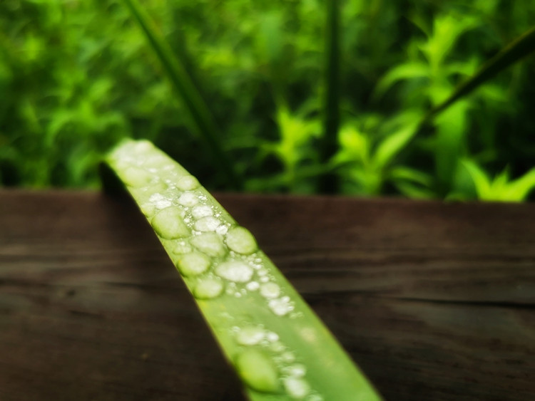 茅山宝盛园周边游玩,茅山宝盛园所有游乐设施