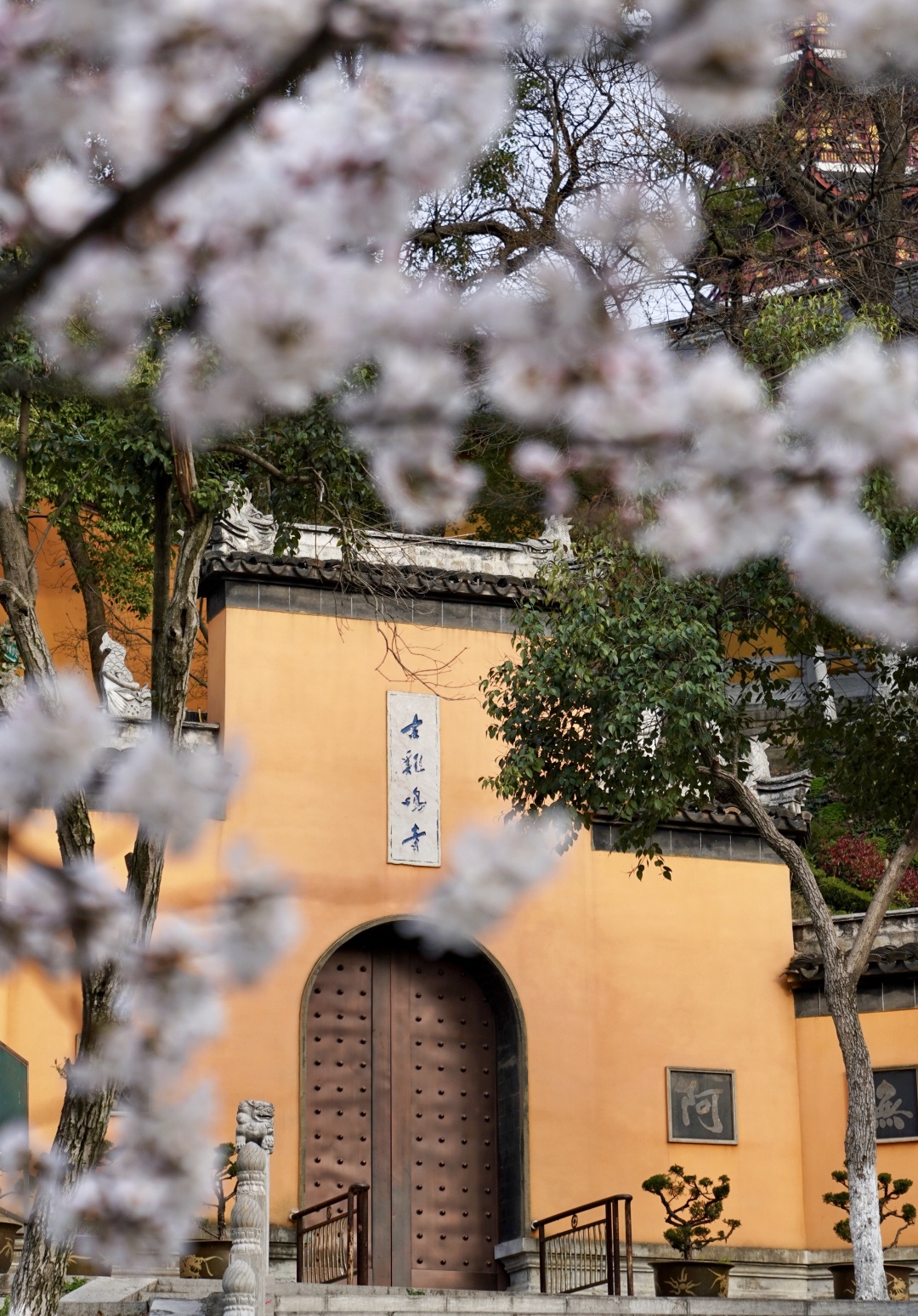 南京人气最高的3大寺庙，历史悠久，风景优美，是赏秋静心好去处