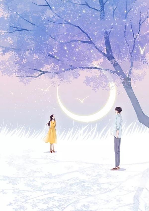 5本高人气古言甜宠文推荐,5本经典耐看文笔好的现言甜宠文