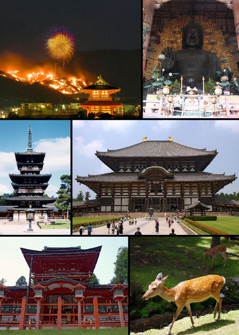 二战转折点不是日本偷袭珍珠港吗,二战日本为何没轰炸紫禁城的原因