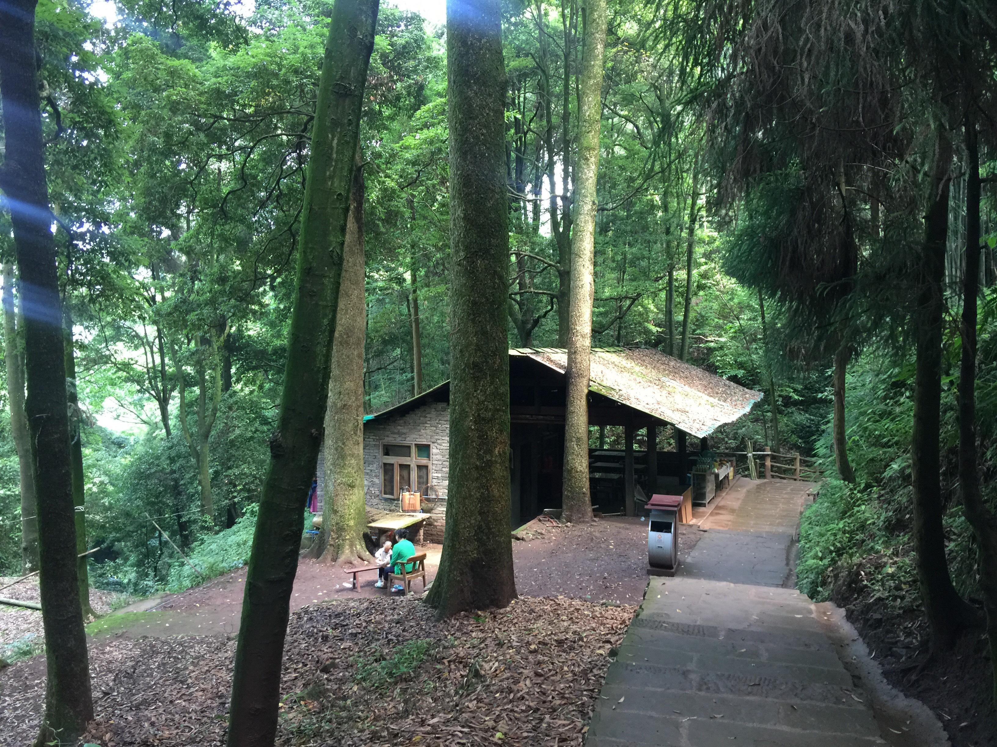 峨眉山登顶佛像,峨眉山登顶记完整版