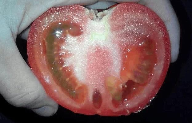 蔬菜吃不到从前那个味儿?土壤有问题!改变施肥采摘方法立马见效