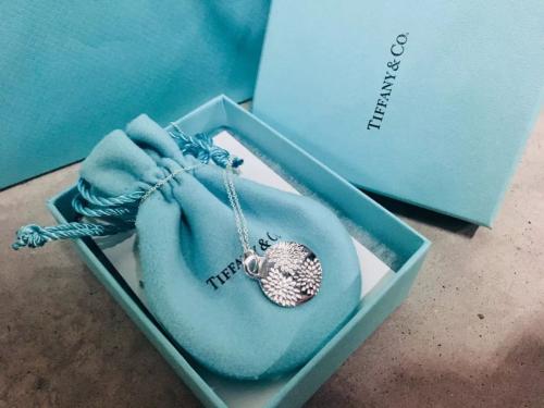 蒂芙尼珠宝品牌简介,蒂芙尼蓝商标
