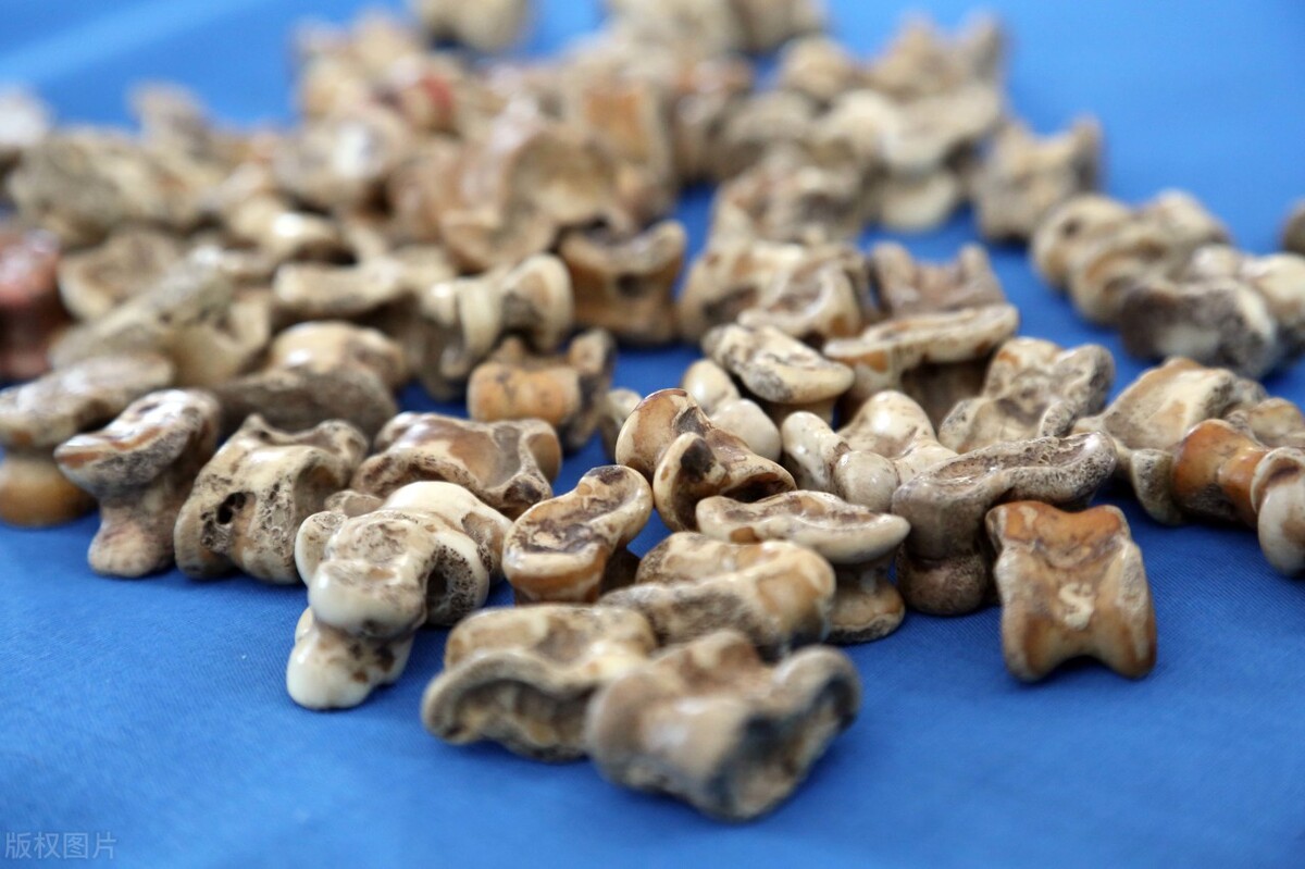 80后的童年游戏看完泪流满面,盘点8090后的童年游戏