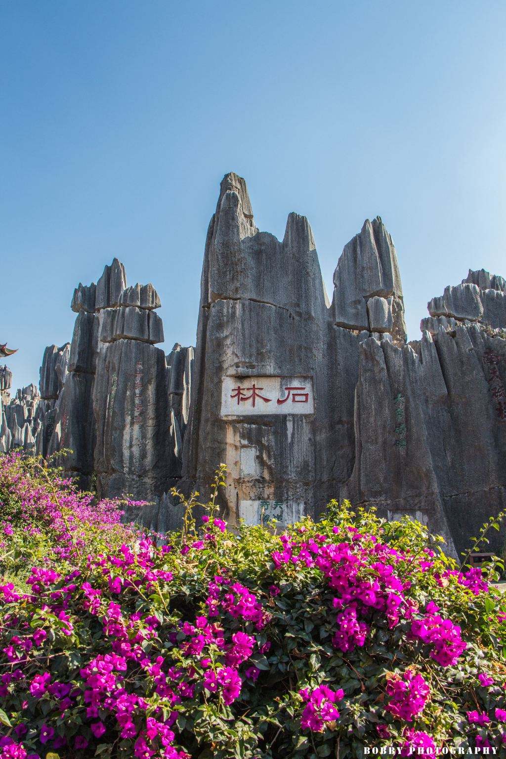 昆明旅游攻略几天可以去玩,来昆明旅游去哪里玩比较好一点