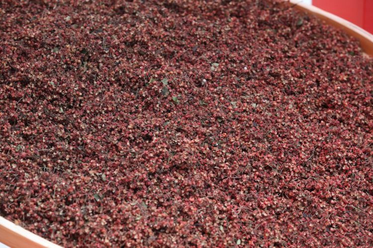 经济林风景,经济林立体种植