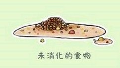 铲屎官的呕吐,狗狗呕吐铲屎官该怎么办