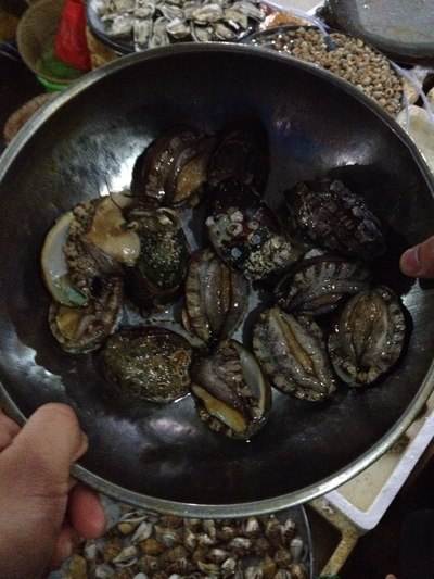 海南租车别克7座每天价格,海南自驾租车最便宜