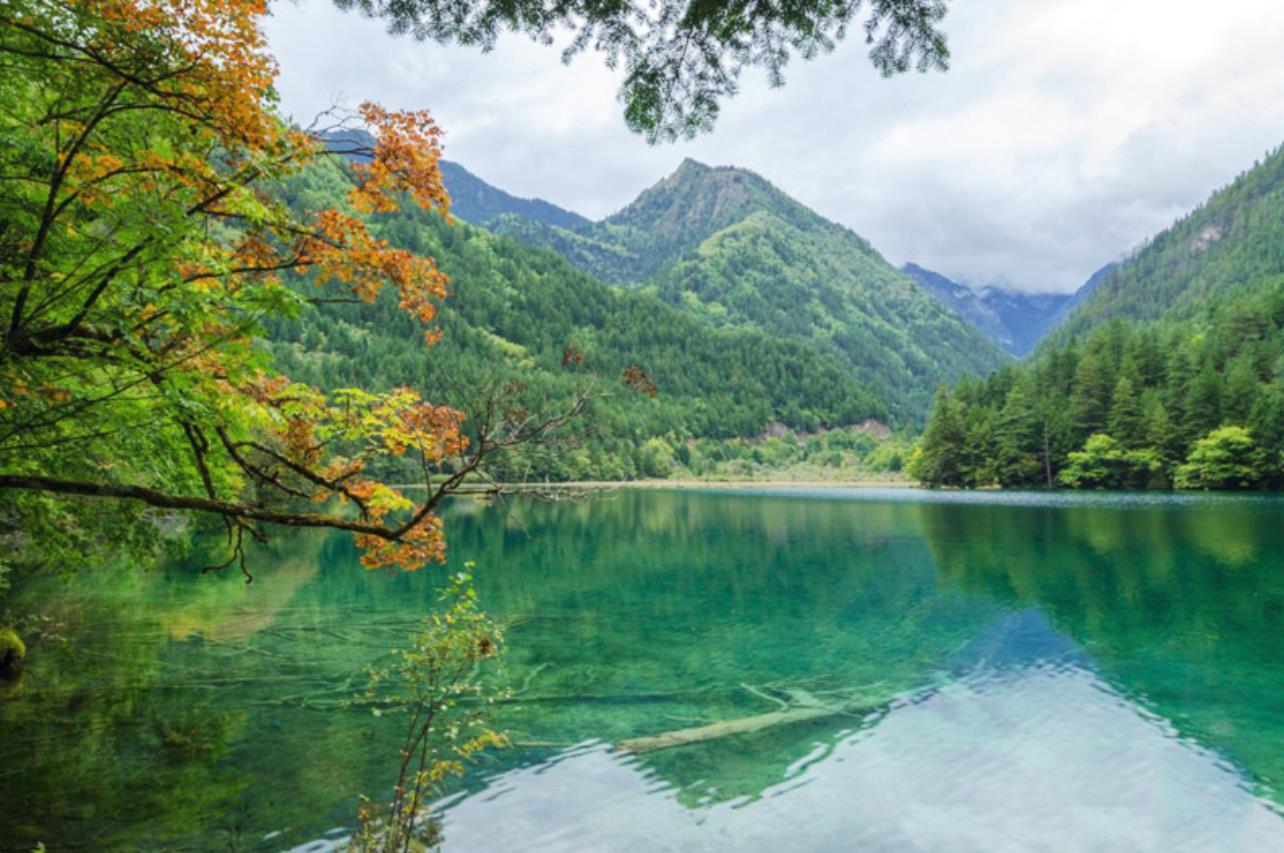 成都出发九寨沟门票,成都出发九寨沟自驾多少钱