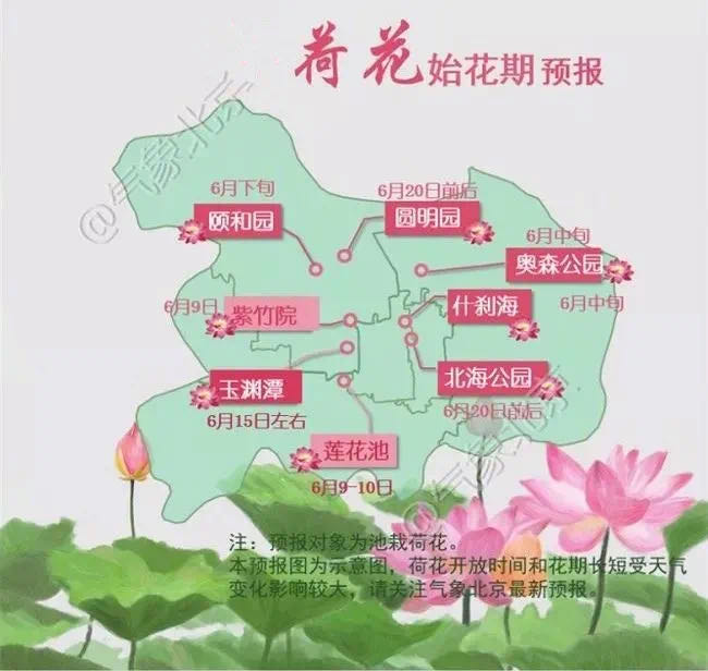 北京赏荷,了解十大赏荷胜地