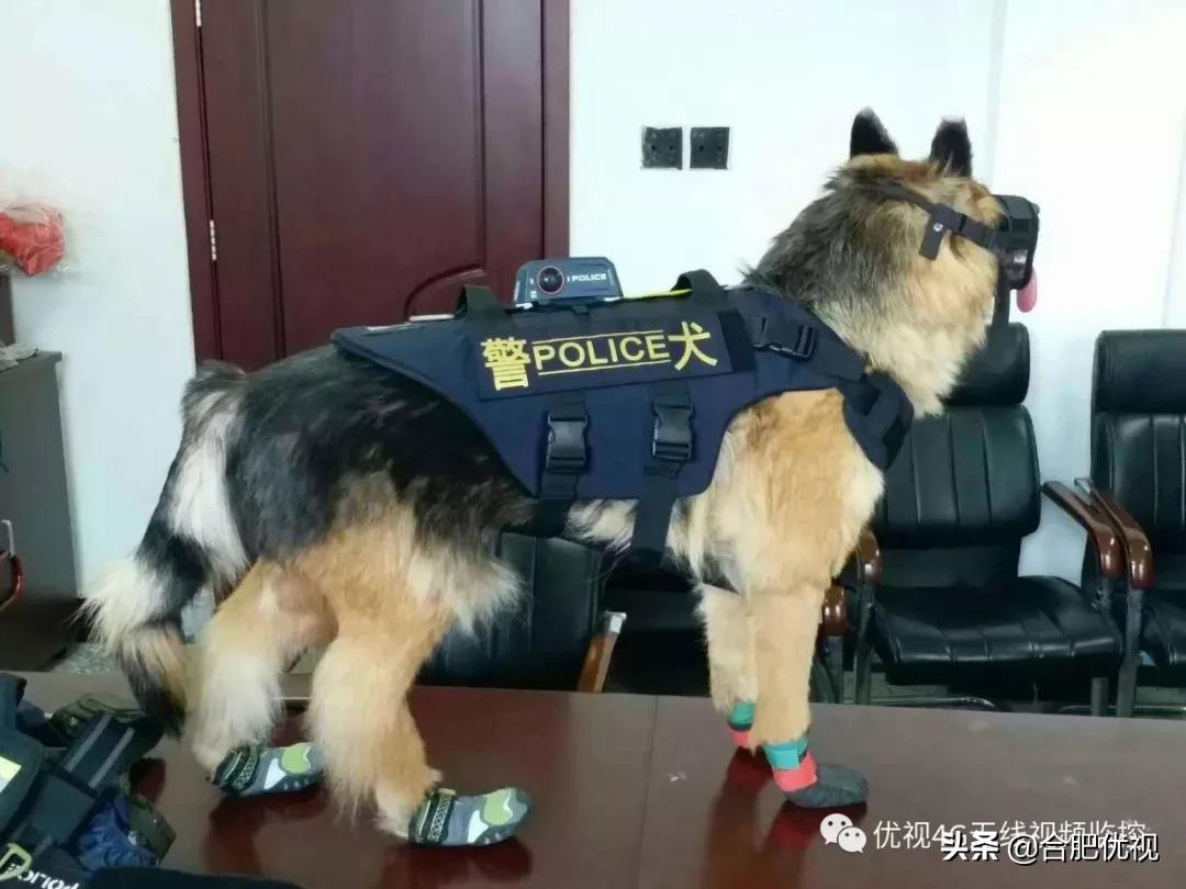 警犬新式摄像头,警犬全息防护系统