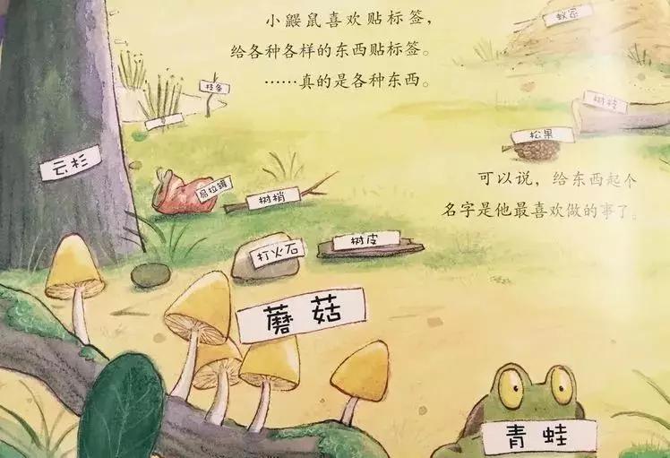 悦宝园主题课程推荐:鳄鱼|AlligatorsandCrocs