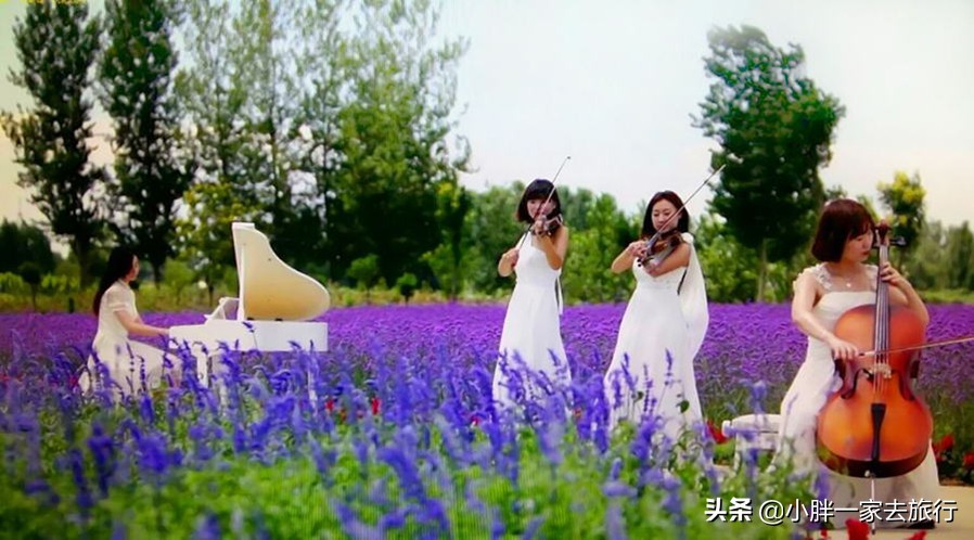 天津旅游攻略一日游自由行路线,天津游玩攻略带孩子旅游最佳路线