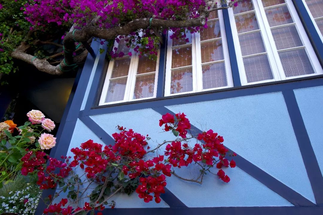 擎怀|于美利坚告别“6”的罗曼蒂克