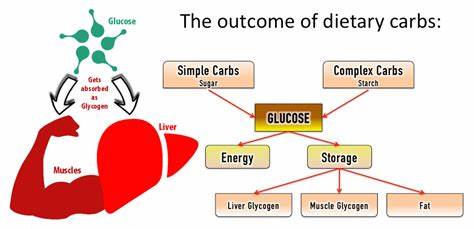 肚子饿健身会不会消耗肌肉,饥饿状态健身掉肌肉吗