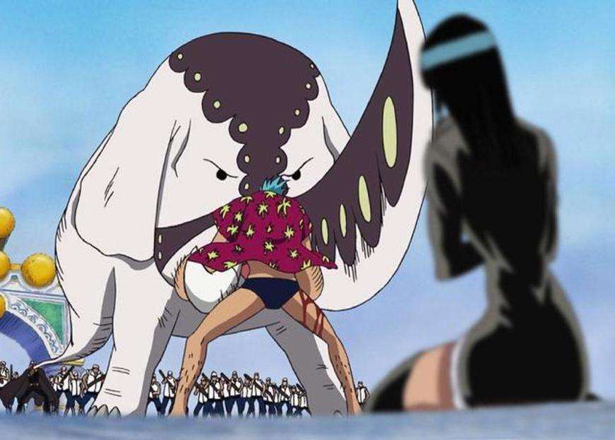 海贼王中的黑暗果实有什么说法,海贼王2020年出现的恶魔果实